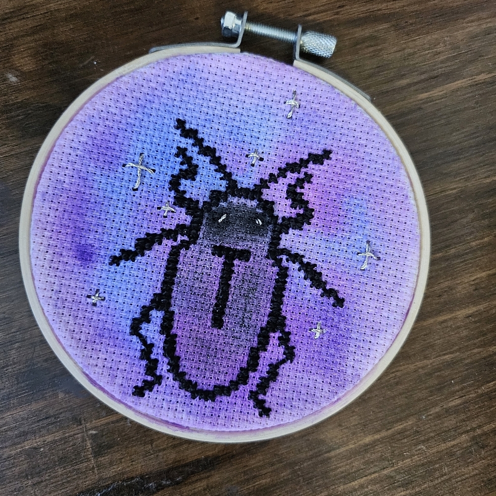 Cross stitch beetle with aquarelle paint embroidery, handcrafted with wood frame